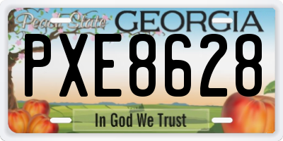 GA license plate PXE8628