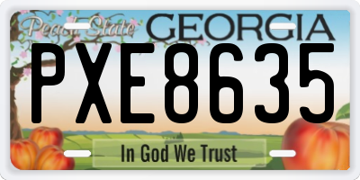 GA license plate PXE8635