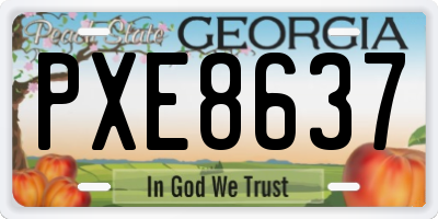 GA license plate PXE8637