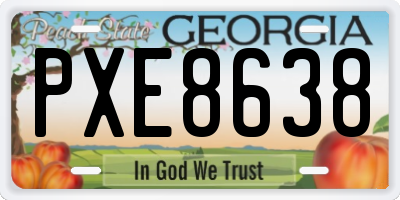 GA license plate PXE8638