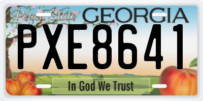 GA license plate PXE8641