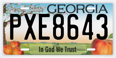 GA license plate PXE8643