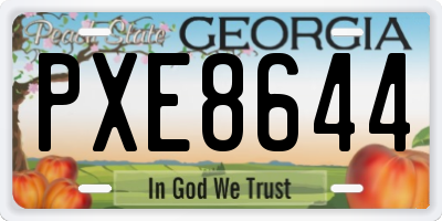 GA license plate PXE8644