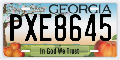 GA license plate PXE8645