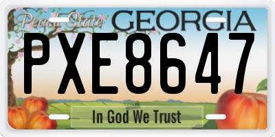 GA license plate PXE8647