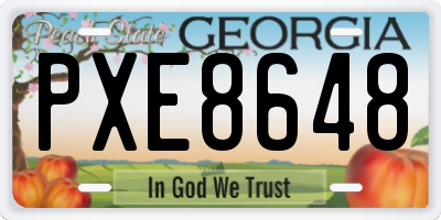 GA license plate PXE8648
