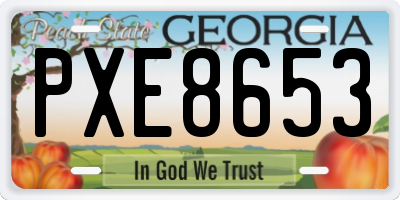 GA license plate PXE8653