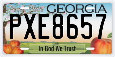 GA license plate PXE8657