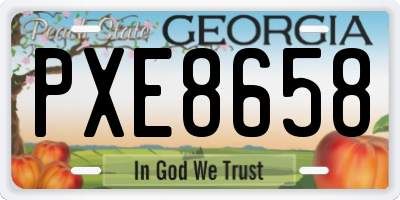 GA license plate PXE8658