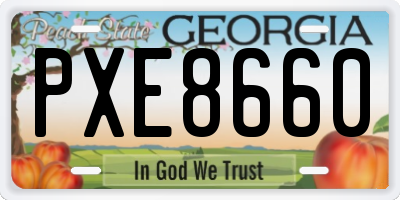 GA license plate PXE8660