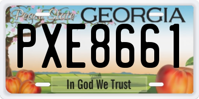 GA license plate PXE8661