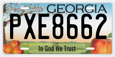 GA license plate PXE8662