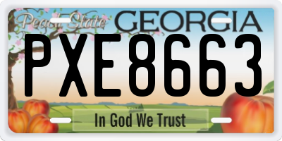 GA license plate PXE8663
