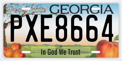 GA license plate PXE8664