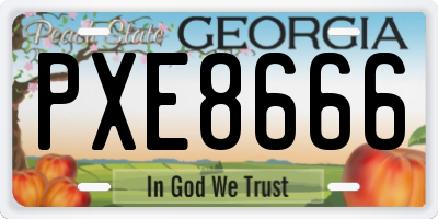 GA license plate PXE8666