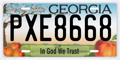 GA license plate PXE8668