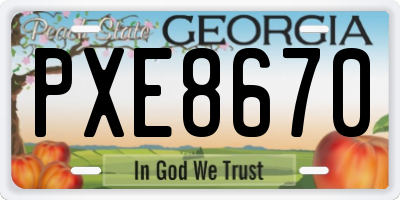 GA license plate PXE8670