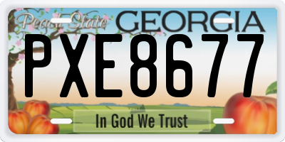 GA license plate PXE8677