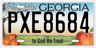 GA license plate PXE8684