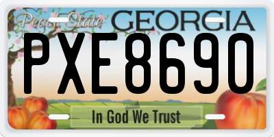 GA license plate PXE8690