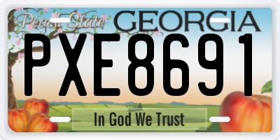 GA license plate PXE8691