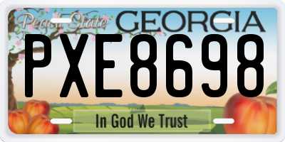 GA license plate PXE8698