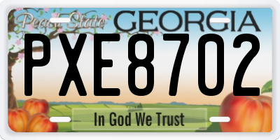 GA license plate PXE8702