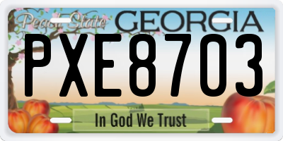 GA license plate PXE8703