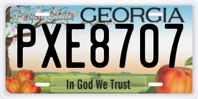 GA license plate PXE8707