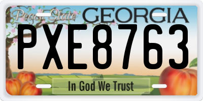 GA license plate PXE8763