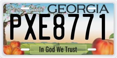 GA license plate PXE8771