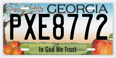 GA license plate PXE8772