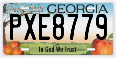 GA license plate PXE8779