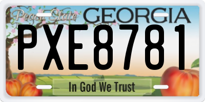 GA license plate PXE8781