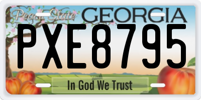 GA license plate PXE8795