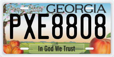 GA license plate PXE8808
