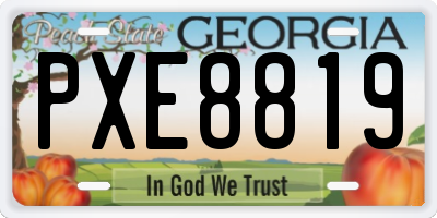 GA license plate PXE8819