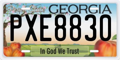 GA license plate PXE8830