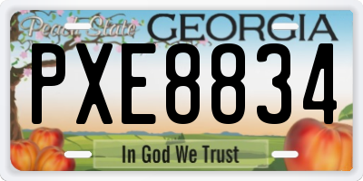 GA license plate PXE8834