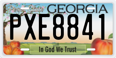 GA license plate PXE8841