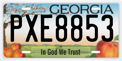 GA license plate PXE8853