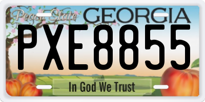 GA license plate PXE8855