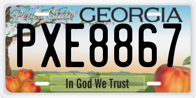 GA license plate PXE8867