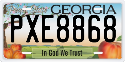 GA license plate PXE8868