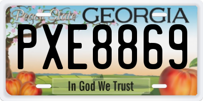 GA license plate PXE8869