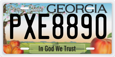 GA license plate PXE8890