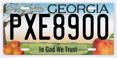GA license plate PXE8900