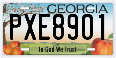 GA license plate PXE8901