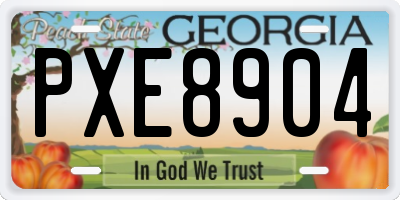 GA license plate PXE8904