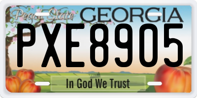 GA license plate PXE8905